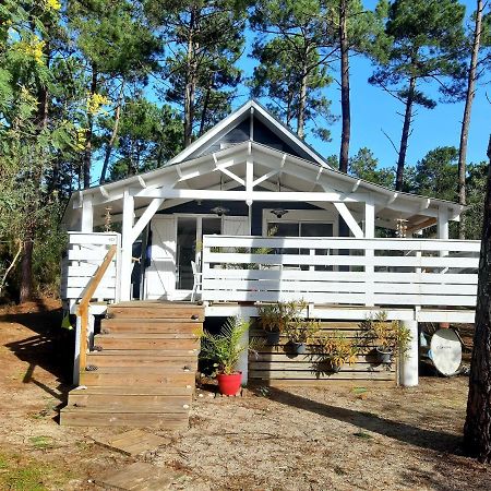 فيلا Domaine Residentiel Naturiste De La Jenny Chalet 6 Pers لو بورغ المظهر الخارجي الصورة